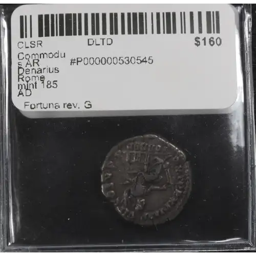 Ancient Roman Coin (3)