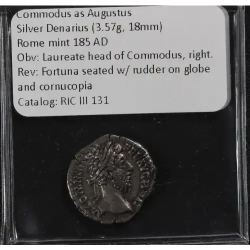 Ancient Roman Coin (4)