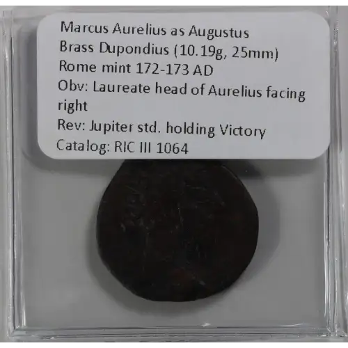 Ancient Roman Coin (4)