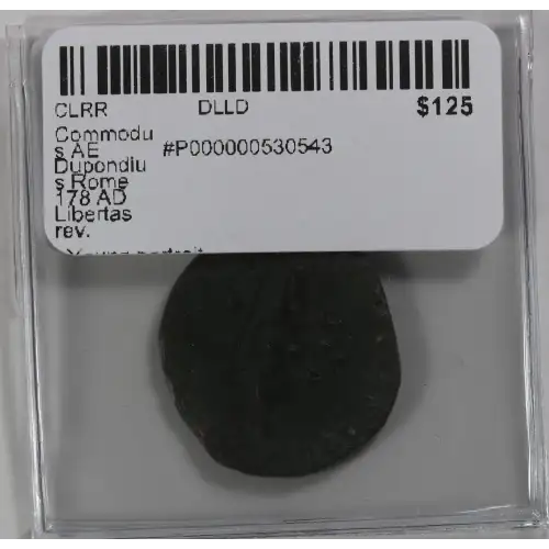 Ancient Roman Coin (3)