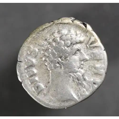 Ancient Roman Coin