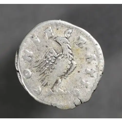 Ancient Roman Coin (2)