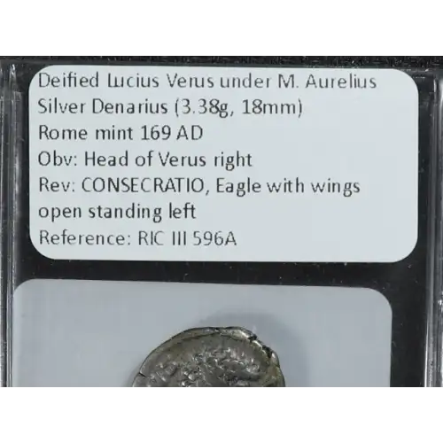 Ancient Roman Coin (4)