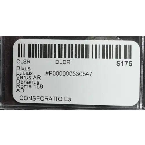 Ancient Roman Coin (3)