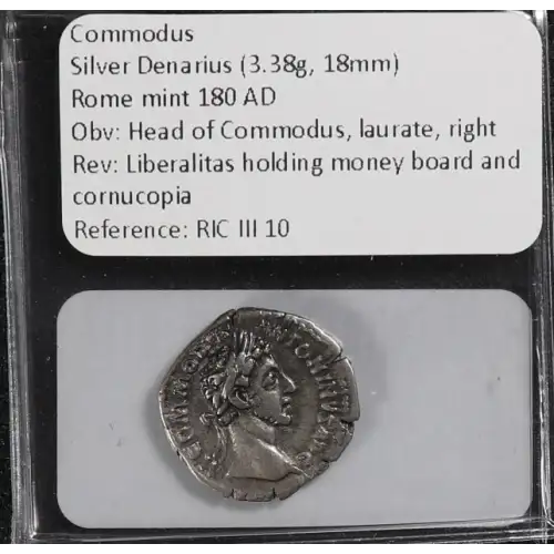 Ancient Roman Coin (4)