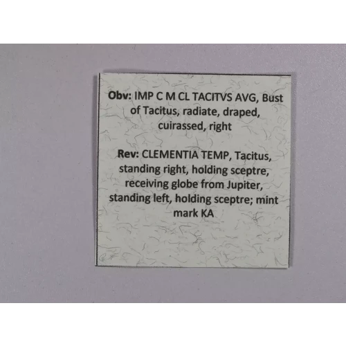 Ancient Roman Coin (5)