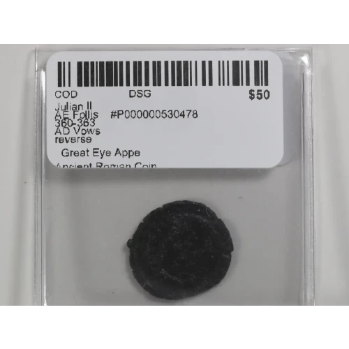Ancient Roman Coin (3)