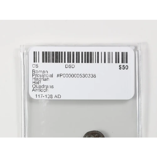 Ancient Roman Coin (3)