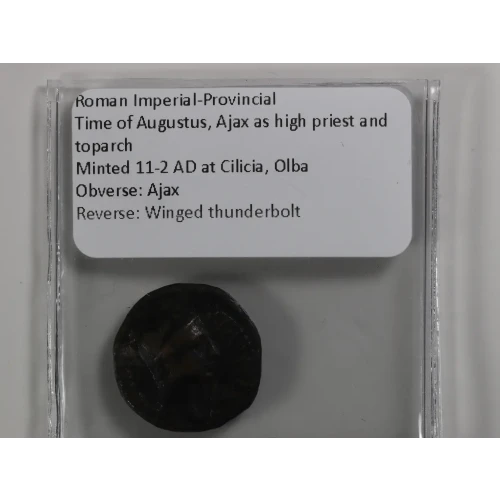Ancient Roman Coin (4)