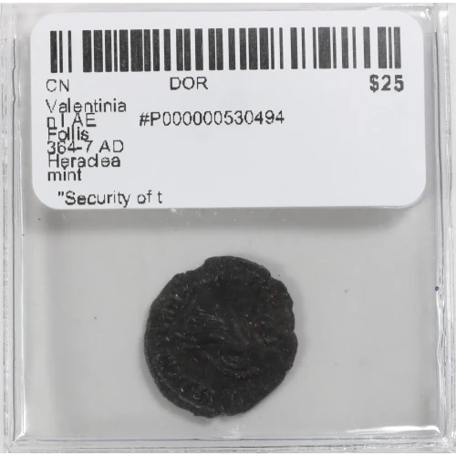 Ancient Roman Coin (3)