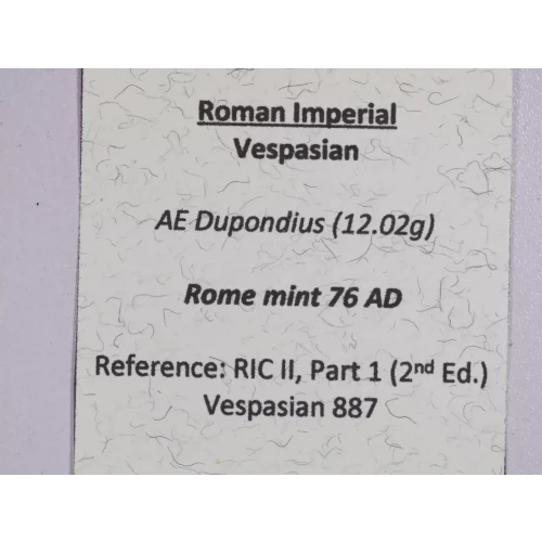 Ancient Roman Coin (3)