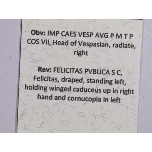 Ancient Roman Coin (4)