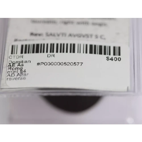 Ancient Roman Coin (5)