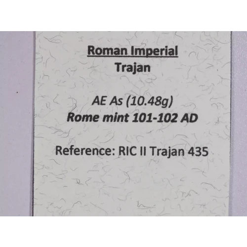Ancient Roman Coin (3)