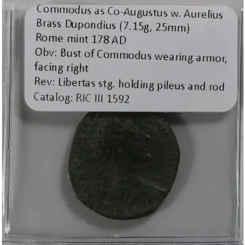Ancient Roman Coin (4)