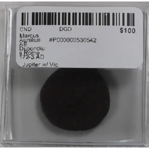 Ancient Roman Coin (3)