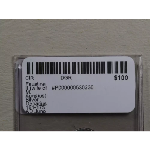 Ancient Roman Coin (3)