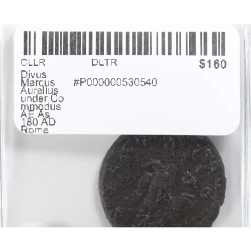 Ancient Roman Coin (3)