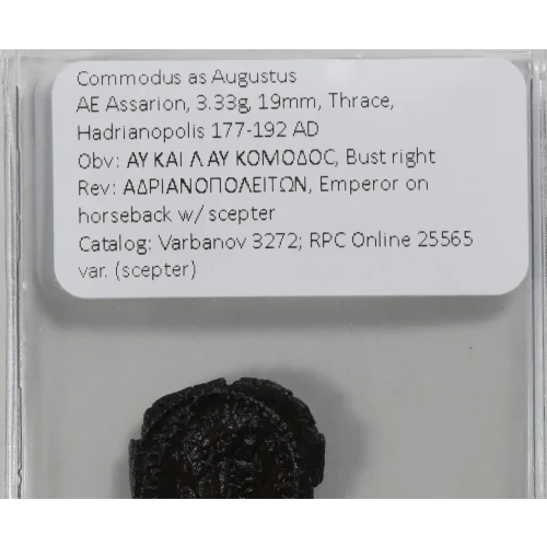 Ancient Roman Coin (3)