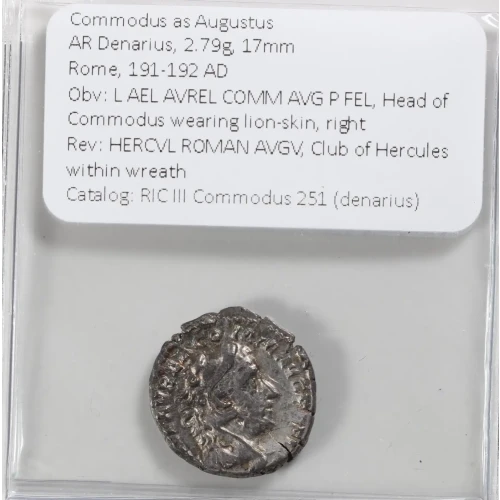 Ancient Roman Coin (4)