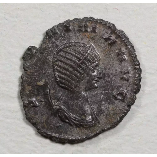 Ancient Roman Coin