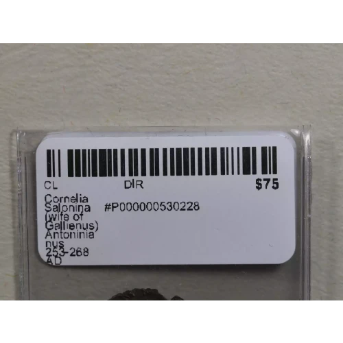 Ancient Roman Coin (3)