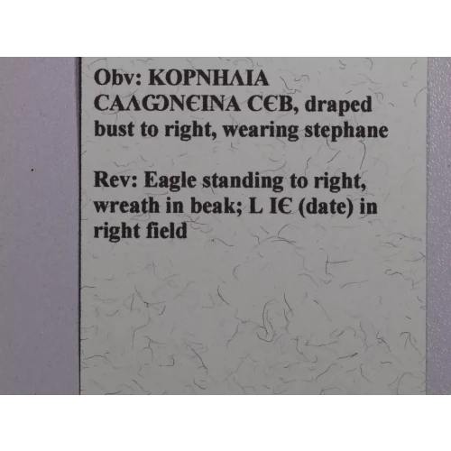 Ancient Roman Coin (5)