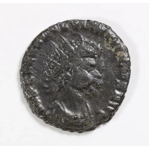 Ancient Roman Coin (2)