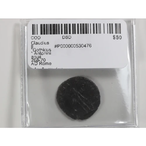 Ancient Roman Coin (4)
