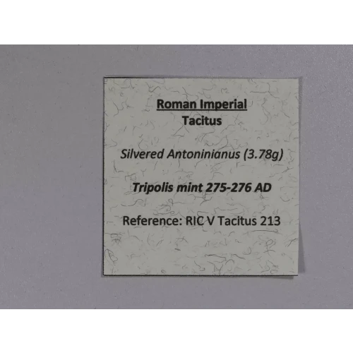 Ancient Roman Coin (4)