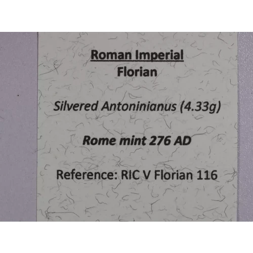 Ancient Roman Coin (4)