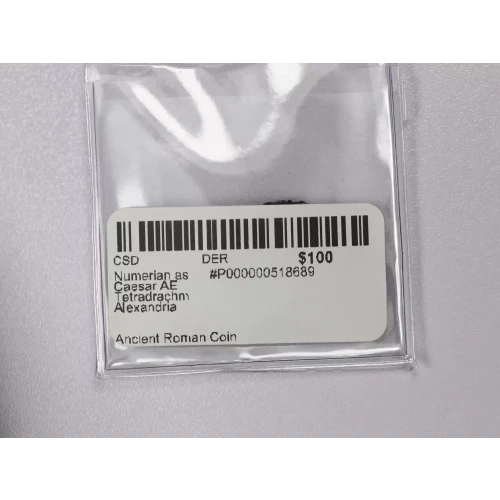 Ancient Roman Coin (3)