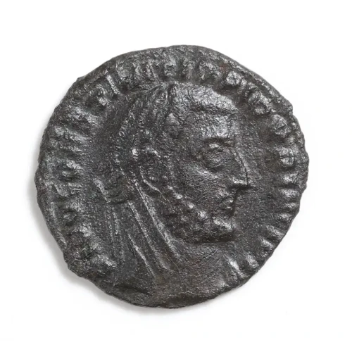Ancient Roman Coin