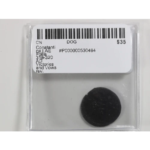 Ancient Roman Coin (4)