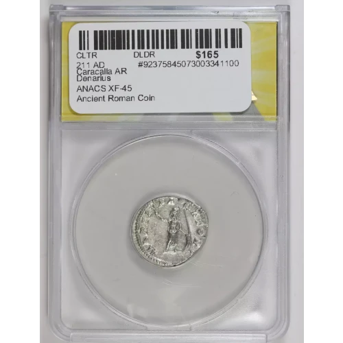 Ancient Roman Coin (2)