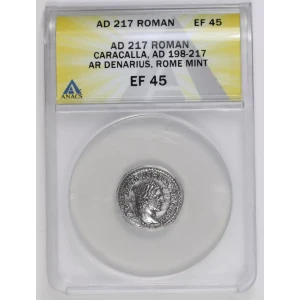 Ancient Roman Coin