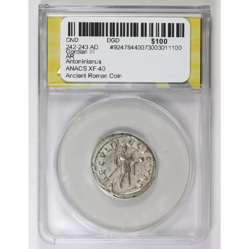 Ancient Roman Coin (2)