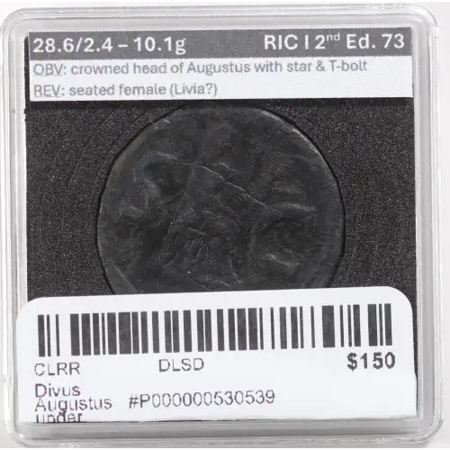 Ancient Roman Coin (6)