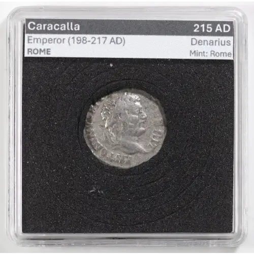 Ancient Roman Coin (4)