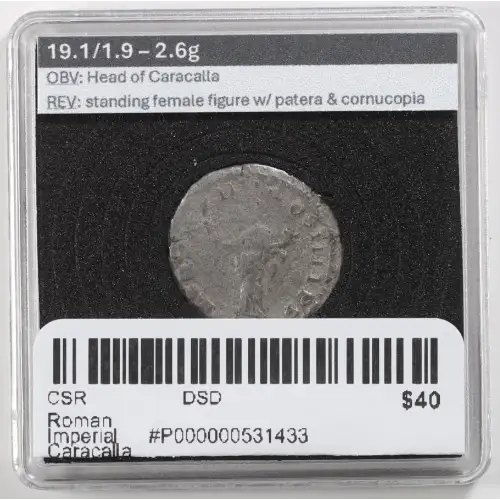 Ancient Roman Coin (3)