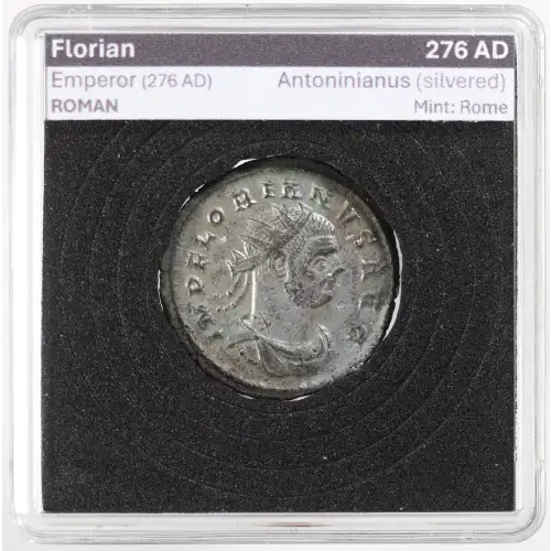 Ancient Roman Coin (6)