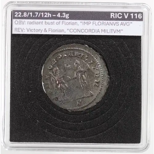 Ancient Roman Coin (7)