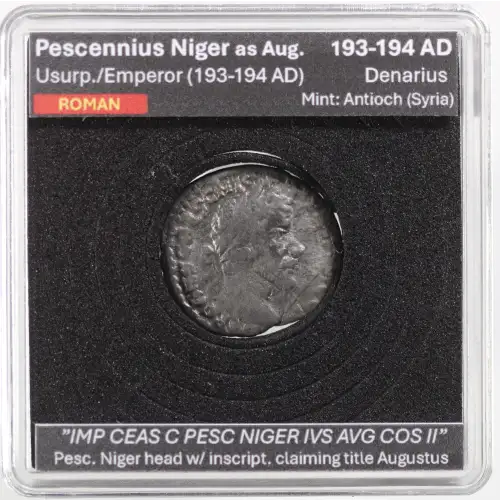 Ancient Roman Coin (2)