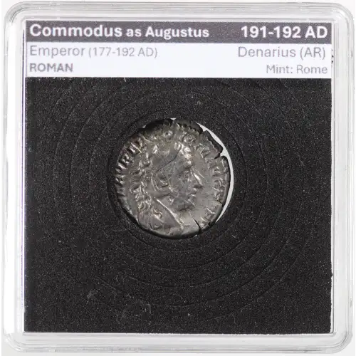 Ancient Roman Coin (2)