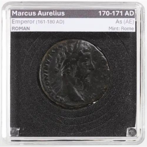 Ancient Roman Coin (5)