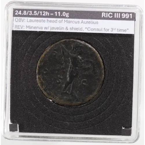 Ancient Roman Coin (6)