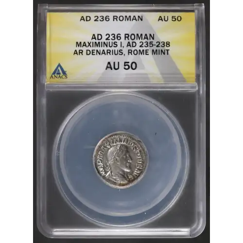 Ancient Roman Coin (2)