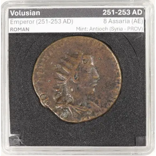 Ancient Roman Coin (3)