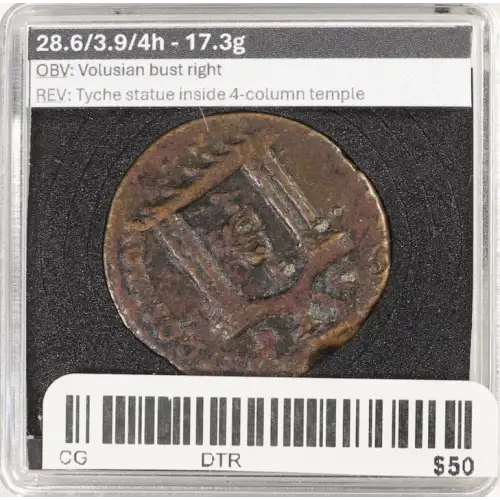 Ancient Roman Coin (4)