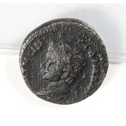 Ancient Roman Coin (3)